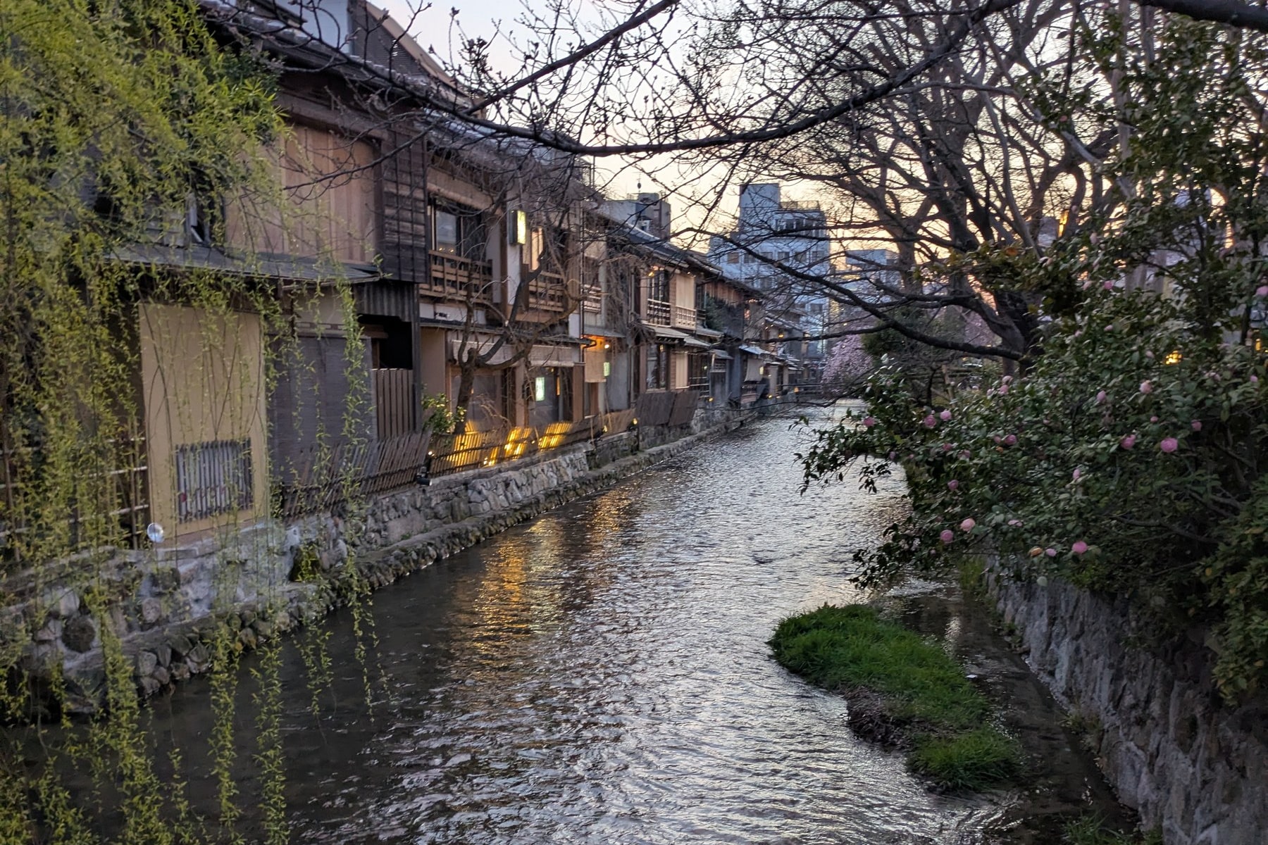京都・祇園白川の水面と川沿いの町家